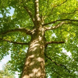 Meet your Posher, Britt